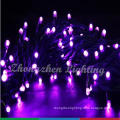 Copper Wire Mini Waterproof Color Changing Decorative String Lights